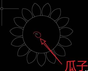 怎么用CAD画一朵向日葵